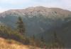 nizketatry74